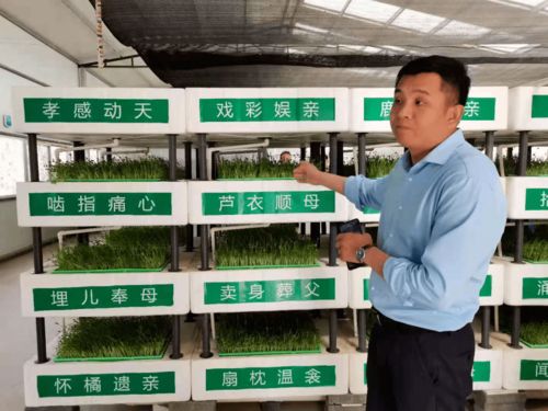 生态中国在行动121站 中高会有机生态联盟创始人黄春元教授考察鱼菜共生助农新模式