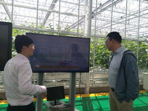 市农技推广站技术人员考察上海崇明 国家设施农业工程技术研究中心